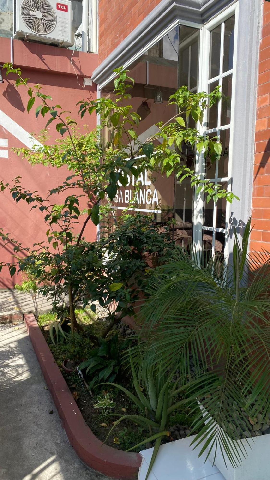 Hostal Casa Blanca Puerto Francisco de Orellana Bagian luar foto